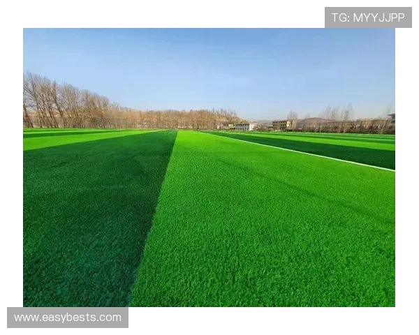 我国足球与草坪产业（国家足球场的草皮是真的草皮吗）sports